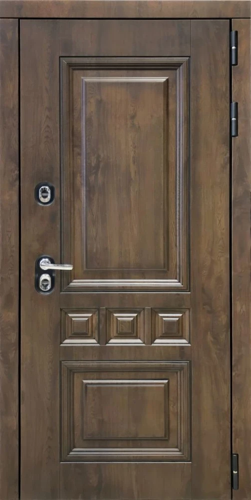 Входная дверь ДвериПРО Аура ФЛ-659 (12мм, nussbaum+черная патина винорит) DPRO220740 внешняя сторона